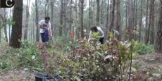 Embedded thumbnail for Semana do Ambiente | Open Day - Parque Natural Sintra-Cascais